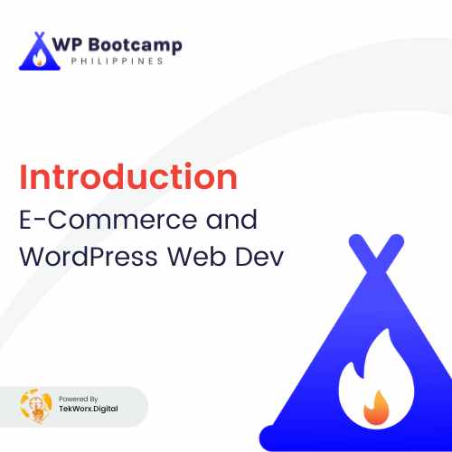 Read more about the article INTRO to E-Commerce and WordPress Web Dev