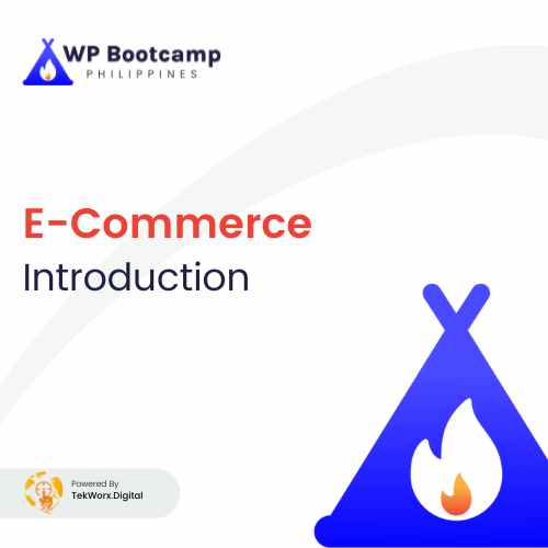 Read more about the article E-Commerce Introduction